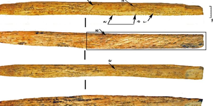 Neanderthals
      invented
      their
      own
      bone
      weapon
      technology
      by
      80,000
      years
      ago
